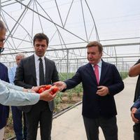 Erzincan