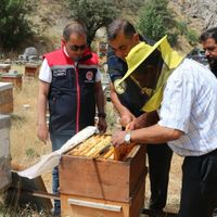 Erzincan