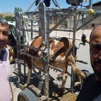 Erzincan