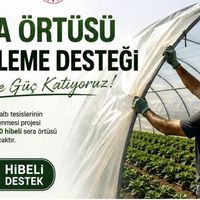 Erzincan