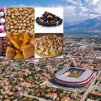 Erzincan