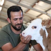 Erzincan