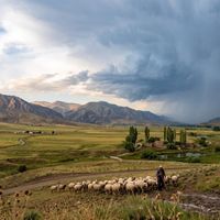 Erzincan