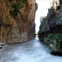 YAŞAM