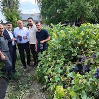 Erzincan