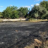 Erzincan