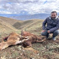 Erzincan