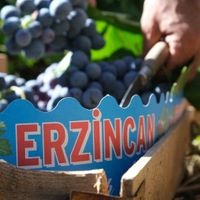 Erzincan