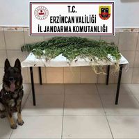 Erzincan