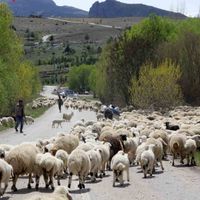 Erzincan