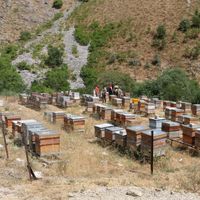 Erzincan
