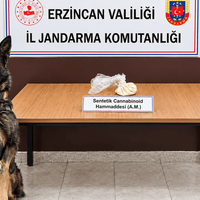Erzincan
