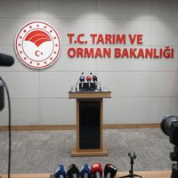 GENEL