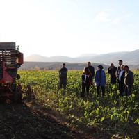 Erzincan