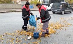 Temizlik çalışmaları devam ediyor