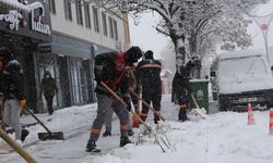 Erzincan Belediyesinden Kar Mesaisi