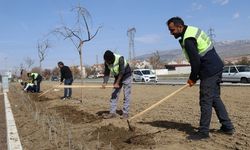 Erzincan lavantalarla donatılıyor