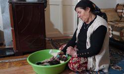Erzincanlı göçer aile, biberonla evde baktıkları erken doğan kuzuyu yaşatmaya çalışıyor