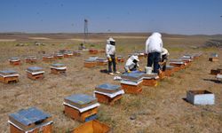 Sıcak havada kovanlarından çıkan arılara yiyecek takviyesi