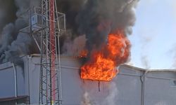 Organize Sanayi'de Ergan'a ait mobilya atölyesinde yangın