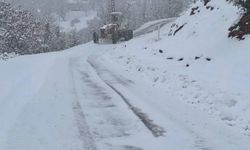 56 köy yolu ulaşıma kapalı