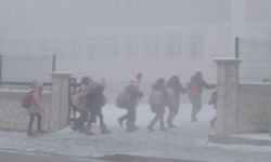 Kar yağışı ve sis şehirde olumsuzluklara neden oldu