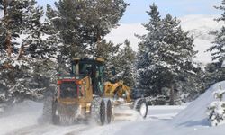 Kar 44 köye ulaşımı engelledi, meteoroloji çığ için uyardı