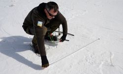 Kars'ta uydu vericisi takılan 7 kurdun yaşamı araştırılıyor