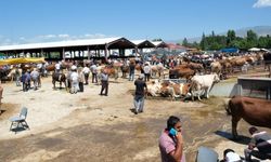 Şap hastalığı sebebiyle hayvan pazarı kapatıldı