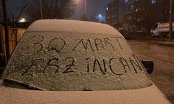 Erzincan'da kar sürprizi