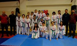 Taekwondo'da hedef şampiyonluk
