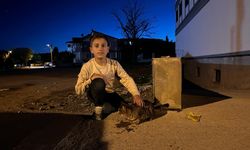 11 yaşındaki Berat’tan insanlık dersi; Sokakta bulduğu kediyi marketten doyurdu