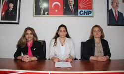 CHP kadınları oy vermeye davet etti