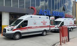 Erzincan'da şarampole devrilen otomobildeki 2 kişi yaralandı