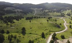 Meclisten Geçti: Erzincan Doğasındaki Kaçak Yapılar Yıkılacak