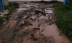 Tercan'da sağanak sele neden oldu, tarım arazileri su altında kaldı