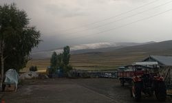 Ardahan'da Kısır Dağı'na kar yağdı