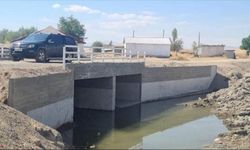 Bulanık'ta yapımı tamamlanan köprü hizmete açıldı