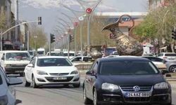 Erzincan’da Araç Sayısı Hızla Yükseliyor