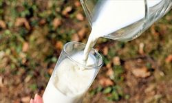 Süt ile cildi korumak mümkün