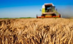 Tarım-GFE yıllık %34,32, aylık %6,56 arttı