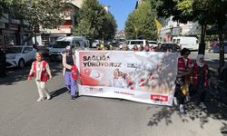 Bingöl'de "Dünya Yürüyüş Günü" etkinliği düzenlendi