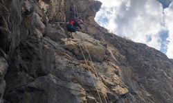 Bitlis'te kayalıklarda mahsur kalan 2 keçi AFAD ekiplerince kurtarıldı