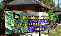 Bitlis'te tıbbı aromatik bitkilerin yetiştirildiği bahçe oluşturuluyor