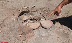 Bitlis'teki arkeolojik kazılarda Erken Tunç Çağı'na ait yaşam izlerine ulaşıldı