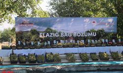 Elazığ'da "17. Geleneksel Üzüm Festivali ve Bağ Bozumu" etkinliği yapıldı