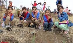 Elazığ'da Cumhuriyet'in 100. yılı dolayısıyla 10 bin fidan toprakla buluşturuldu