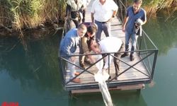 Erzincan'da gölet ve barajlara 902 bin sazan balığı yavrusu bırakıldı