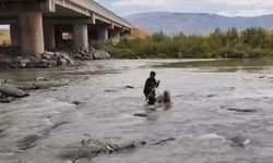 Erzincan'da köprü ayağında mahsur kalan köpeği AFAD ekipleri kurtardı