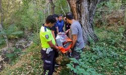 Kemah Kalesi'nde dehlize düşen Sağlık Müdürünün tedavisi sürüyor